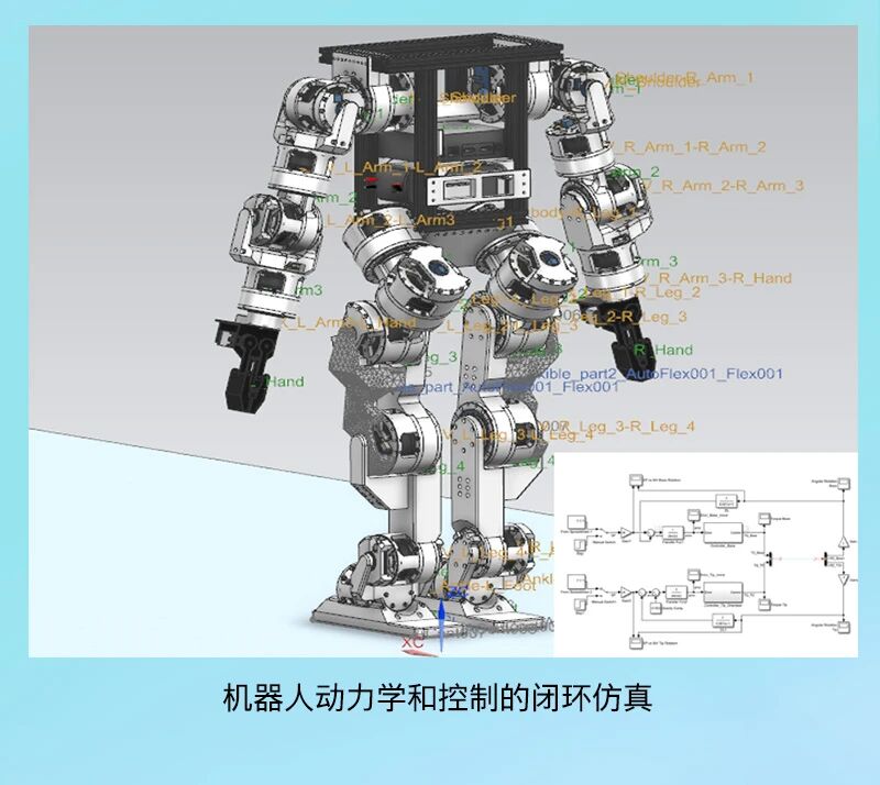 1775531652132800.jpg 10.jpg